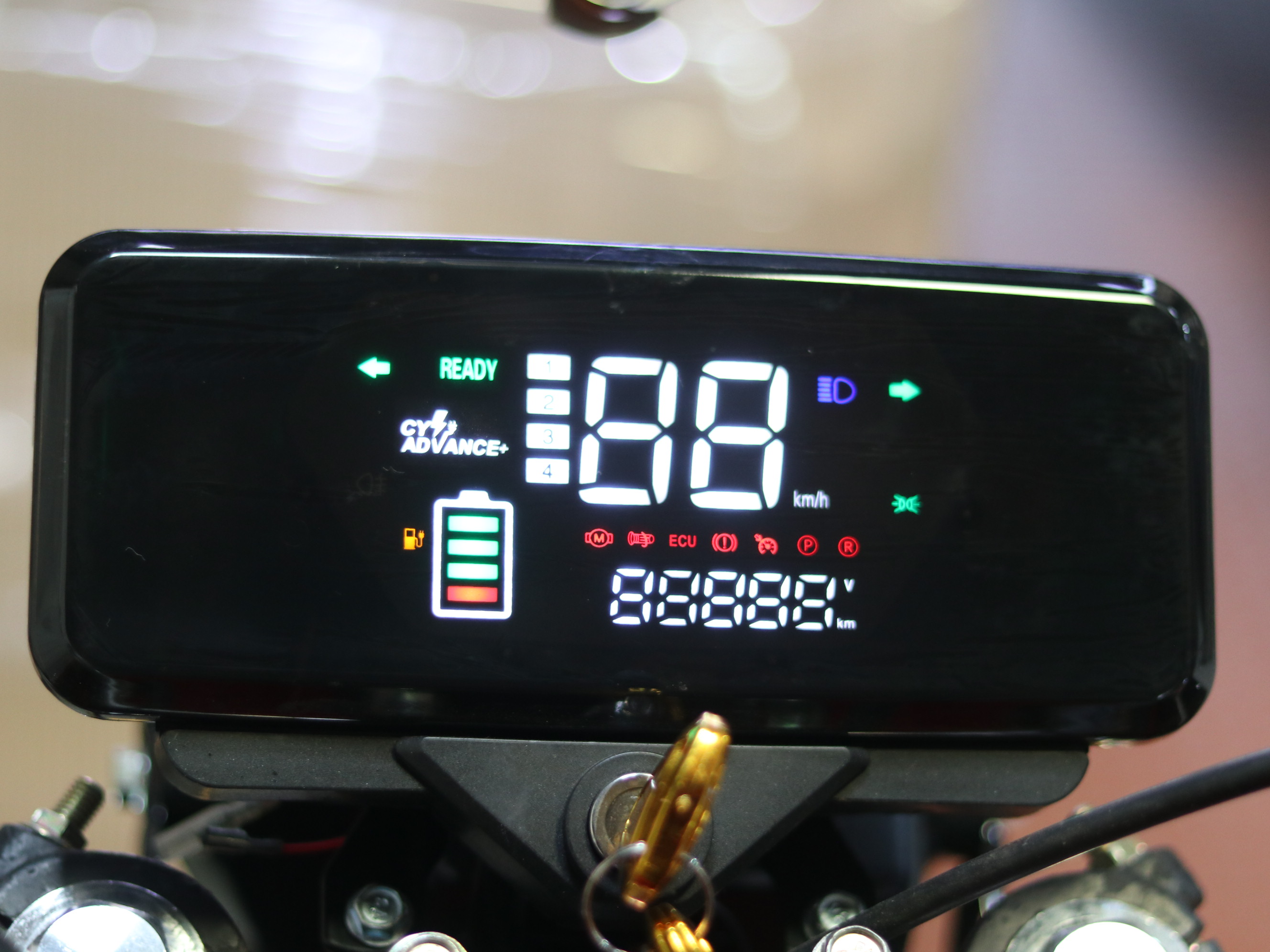 Pythox Image 7 (Clone)