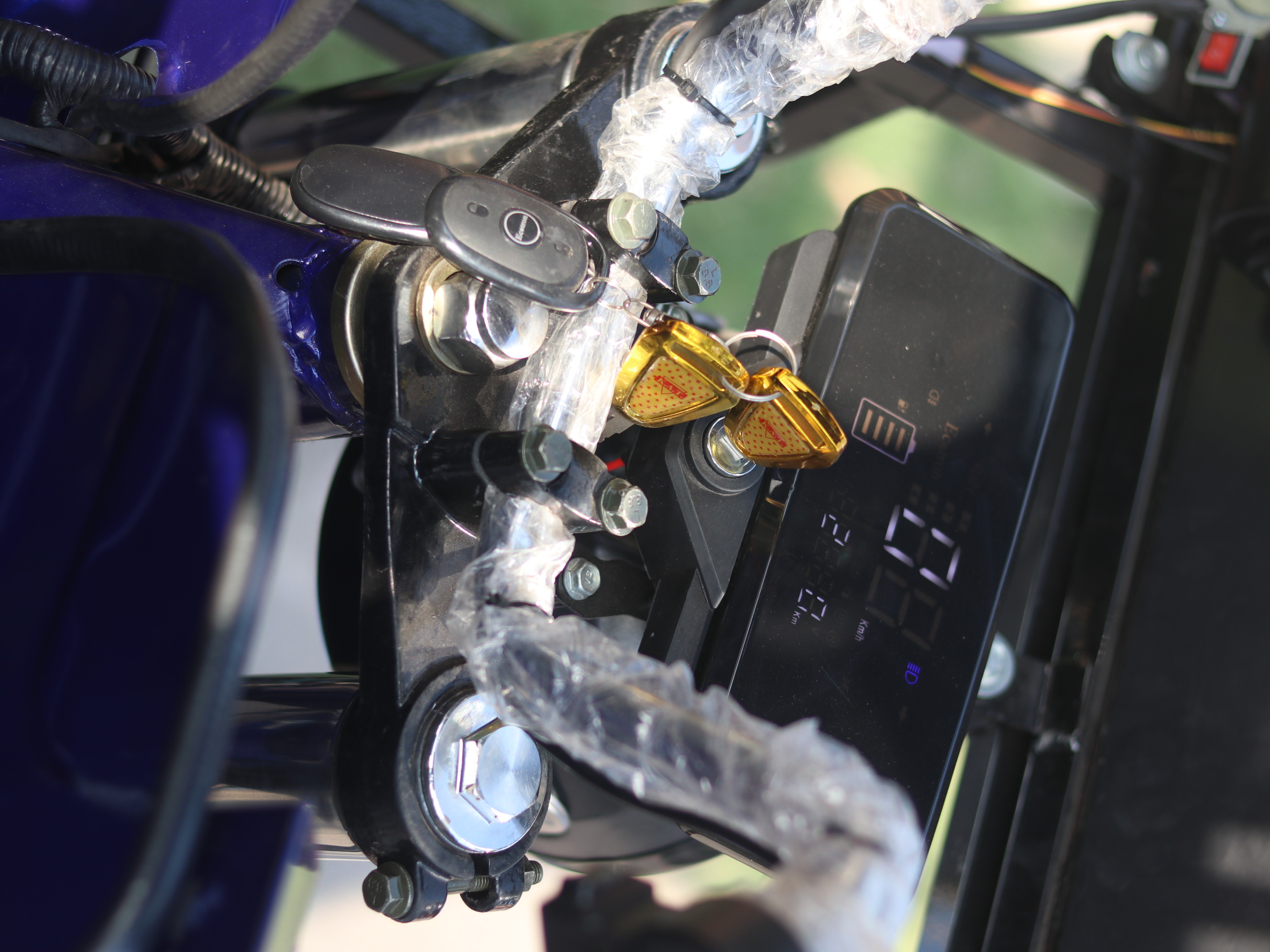 Pythox Image 10 (Clone)