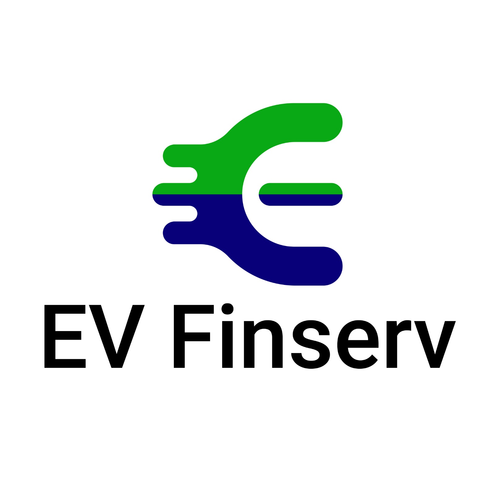 EV FIN